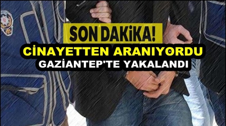 Cinayet aranan şahıs operasyonla yakalandı