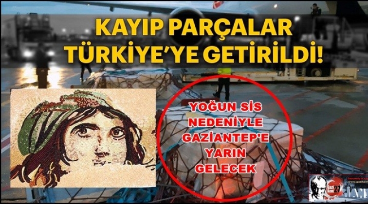 &Ccedil;ingene Kızı Mozaiği par&ccedil;aları İstanbul'a geldi