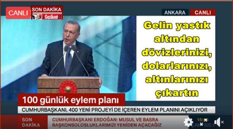 Cumhurbaşkanı Erdoğan'dan 'TL' çağrısı