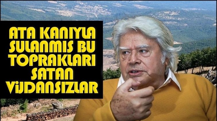 C&uuml;neyt Arkın'dan Kaz Dağları tepkisi
