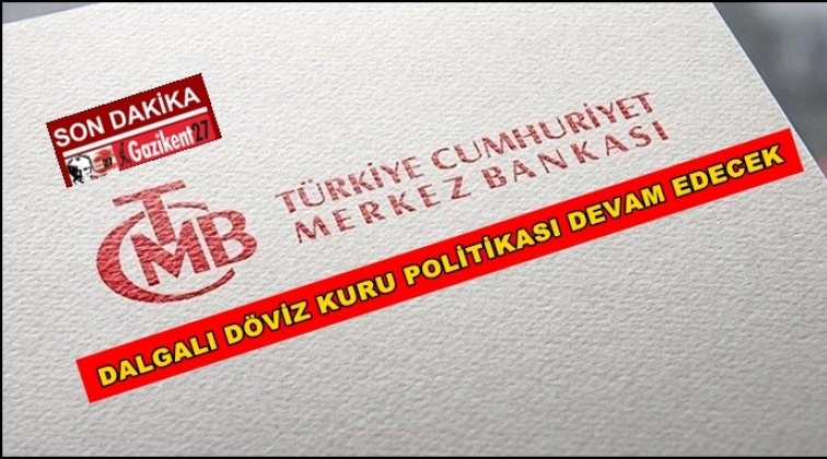 Dalgalı döviz kuru rejimi uygulaması devam edecek