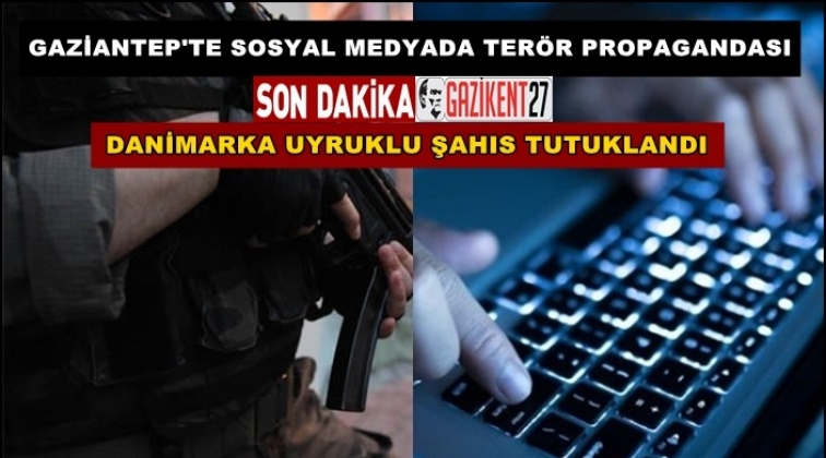 Danimarka uyruklu şahıs Gaziantep'te tutuklandı