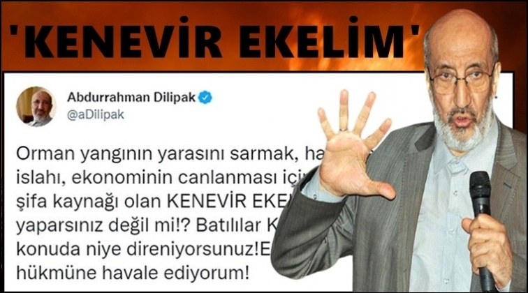 Dilipak'tan yangına çözüm: Kenevir ekelim!..