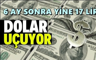 Dolar 6 ay sonra yeniden 17 lirayı gördü!