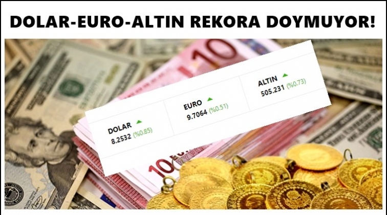 Dolar ve euro rekora doymuyor!..