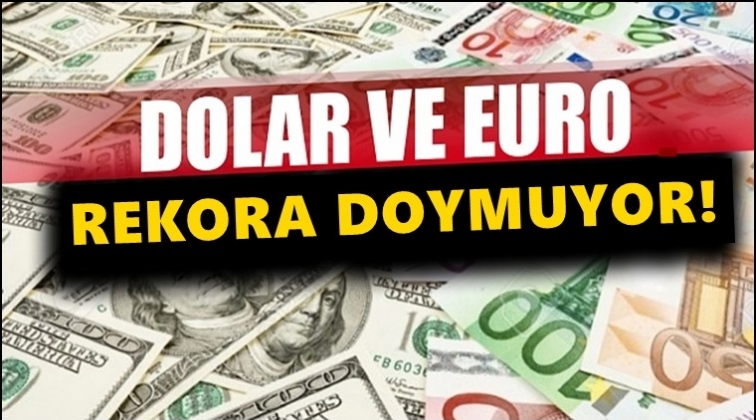Dolar ve euro rekora doymuyor!