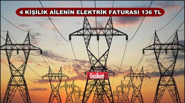 Dört kişilik bir ailenin elektirik faturası 136 lira