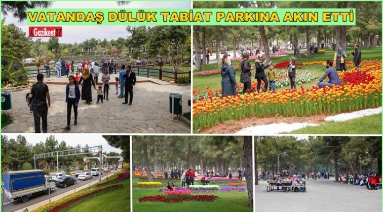 D&uuml;l&uuml;k Tabiat Parkı'na akın ettiler