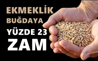 Ekmeklik buğdaya yüzde 23 zam!