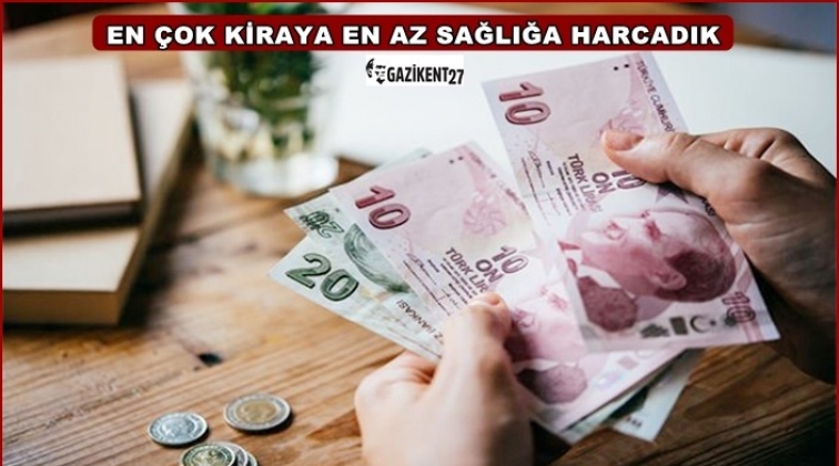 En yüksek pay konut ve kira harcamalarına