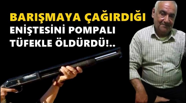 Eniştesini barışmaya çağırdı, öldürdü!