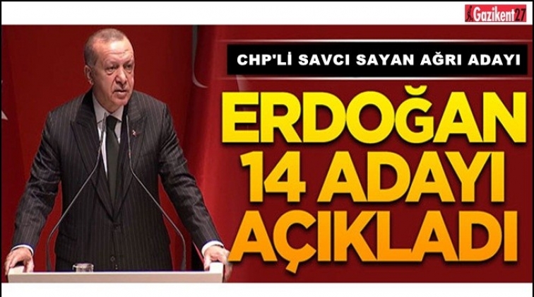 Erdoğan 14 ismi daha açıkladı!