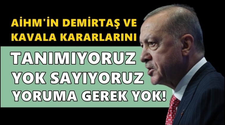 Erdoğan: AİHM'in kararlarını tanımıyoruz!