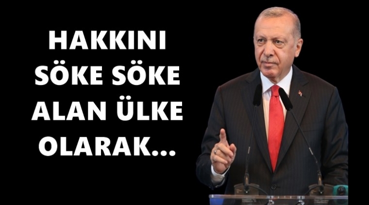 Erdoğan: Dinamik bir sistemdir...