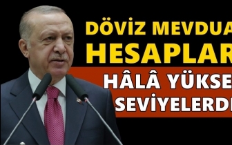 Erdoğan: Döviz hesapları hala oldukça yüksek!