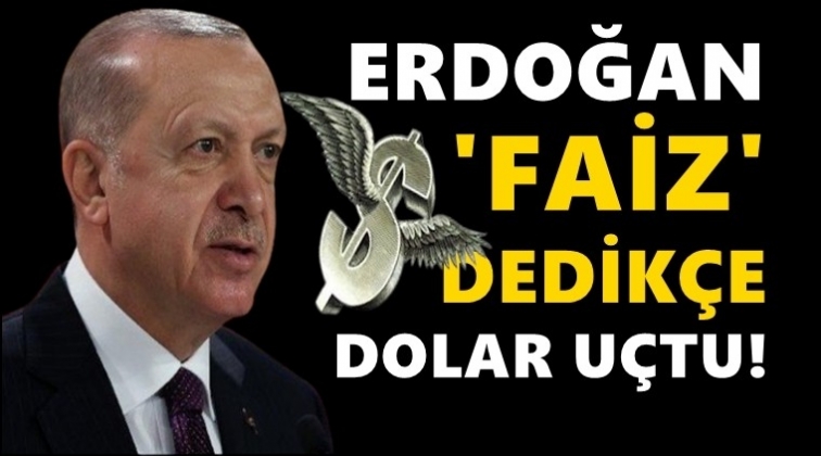 Erdoğan 'faiz' dedi, dolar tarihi rekor kırdı!