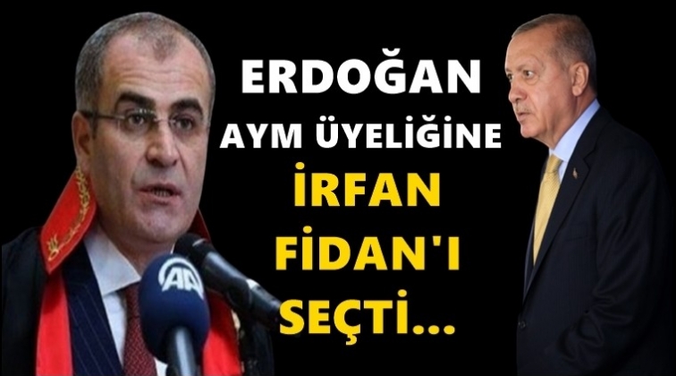 Erdoğan, İrfan Fidan'ı seçti!