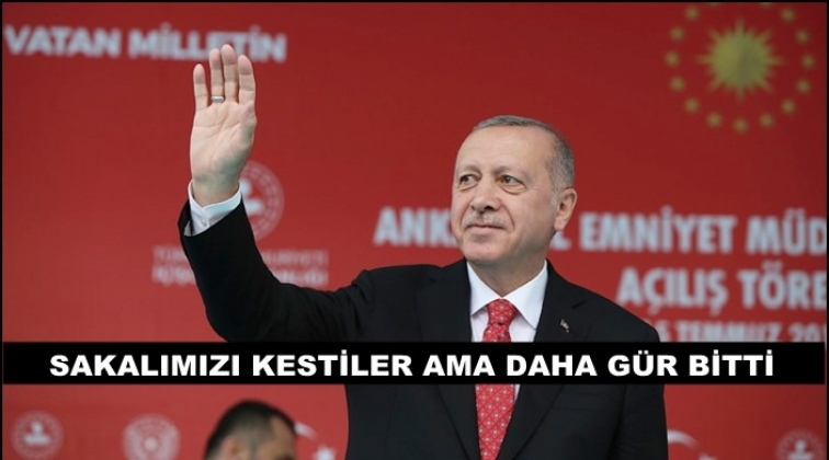Erdoğan: Sakalamızı kestiler ama daha gür bitti