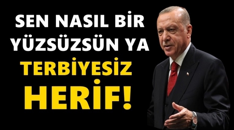 Erdoğan: Yüzsüz, terbiyesiz herif!
