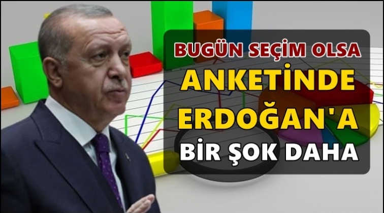 Erdoğan'a son ankette şok!