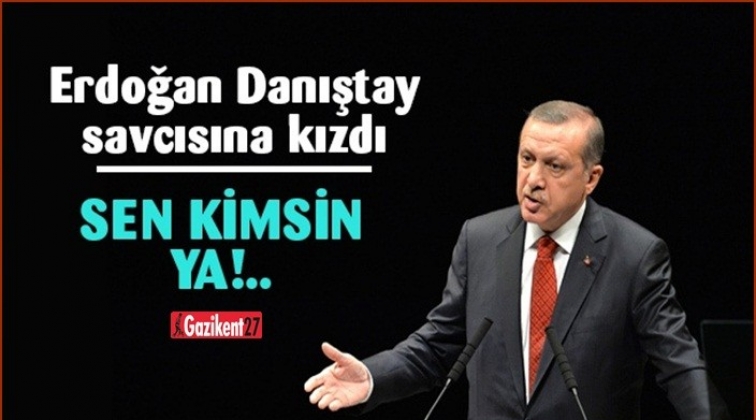 Erdoğan’dan Danıştay savcısına: Sen kimsin!