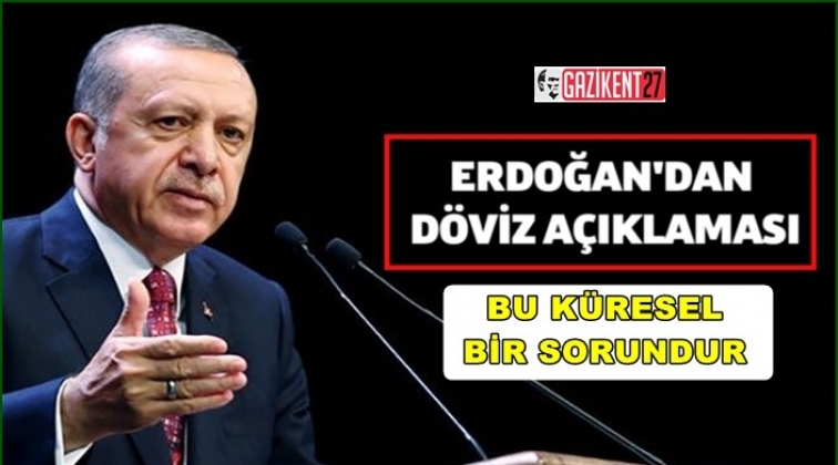 Erdoğan’dan döviz açıklaması