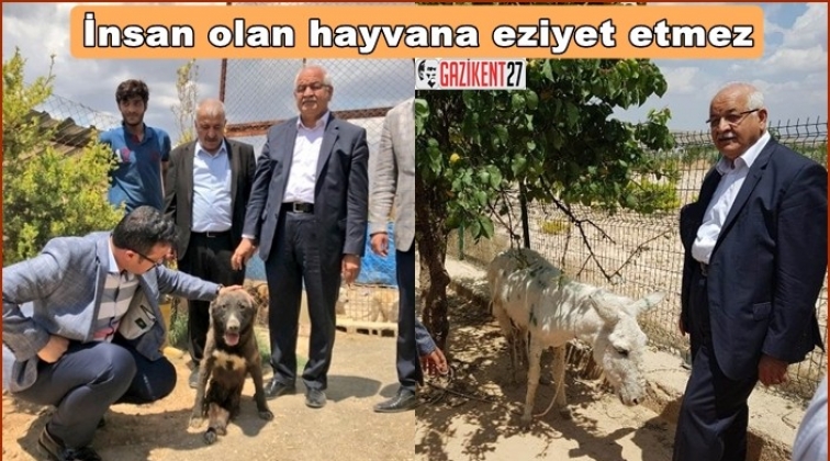 Erdoğan&rsquo;dan hayvan dostlarına m&uuml;jde