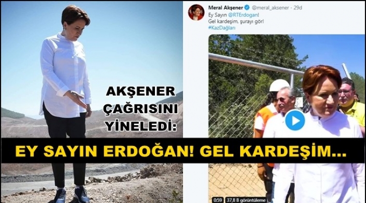 'Ey sayın Erdoğan! Gel kardeşim şurayı gör'