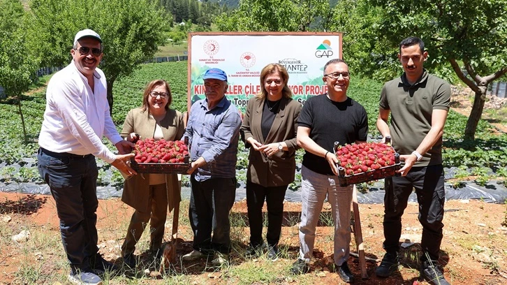 Fatma Şahin ve Vali Çeber, yayla çileği hasadına katıldı