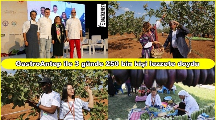 Festivale katılanlar, lezzete doydu