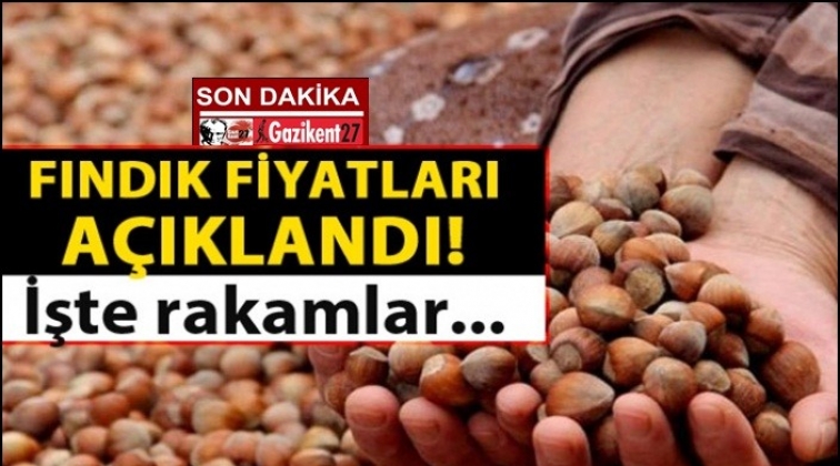 Fındık fiyatları açıklandı