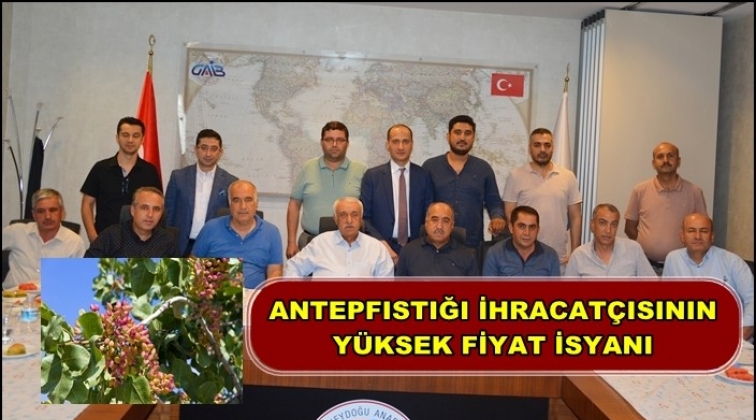 Fıstık ihracatçısının yüksek fiyat isyanı