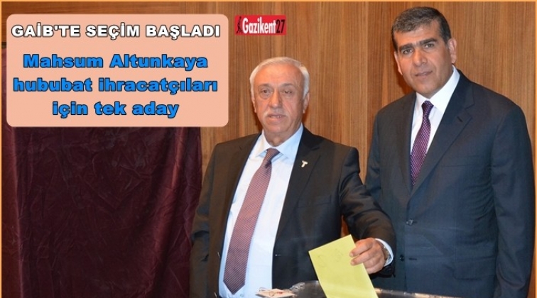 GAİB&rsquo;te se&ccedil;im heyecanı