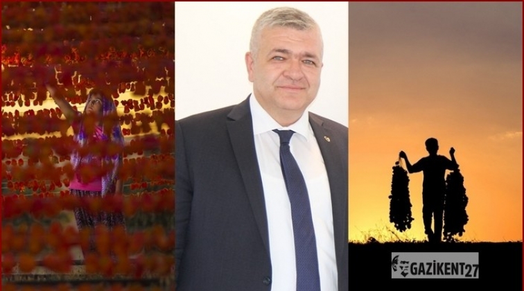 Gaziantep kurutmalıkları sekt&ouml;r haline geldi