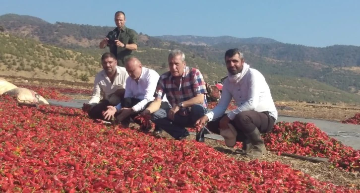 Gaziantep’te biber üreticileri isyan etti!