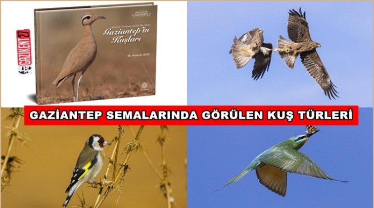 Gaziantep'in kuş türleri kitap oldu