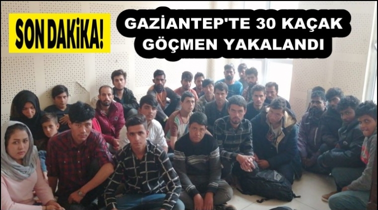 Gaziantep'te 30 kaçak göçmen yakalandı