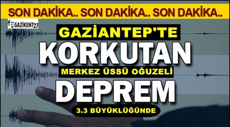 Gaziantep'te 3.3 Büyüklüğünde Deprem