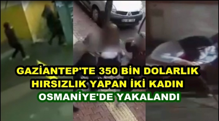 Gaziantep'te 350 bin dolarlık hırsızlık