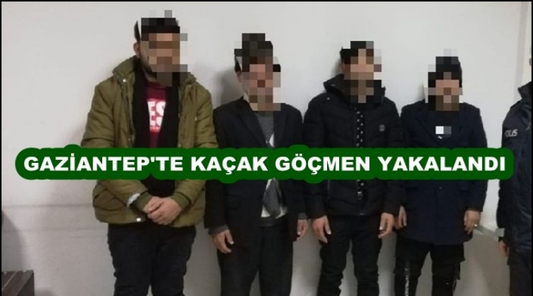 Gaziantep'te 4 kaçak göçmen yakalandı