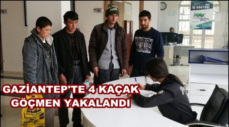 Gaziantep'te 4 kaçak göçmen yakalandı