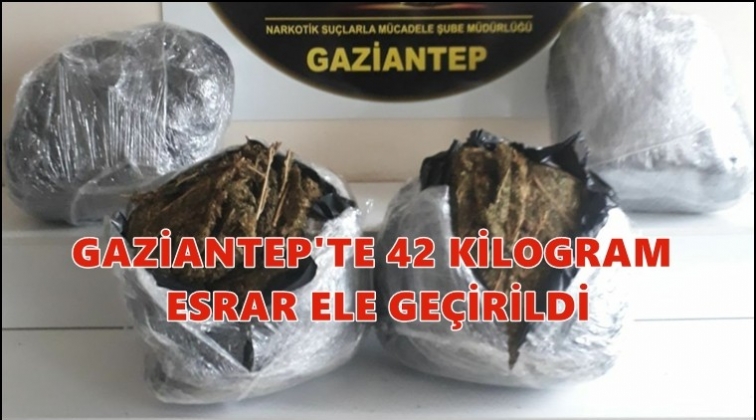 Gaziantep'te 42 kilogram esrar  ele geçirildi