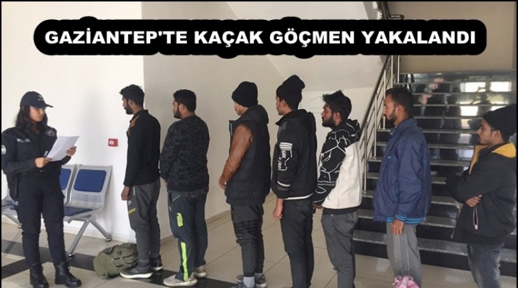 Gaziantep'te 7 kaçak göçmen daha yakalandı