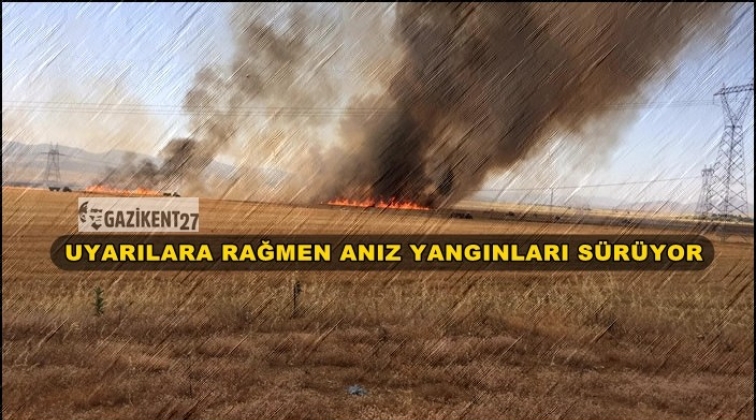 Gaziantep'te anız yangınları sürüyor...