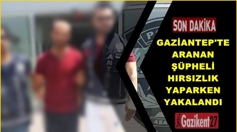 Gaziantep'te aranan şüpheli hırsızlık yaparken yakalandı