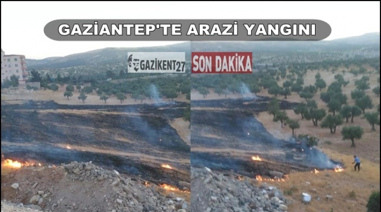 Gaziantep'te arazi yangını korkuttu!