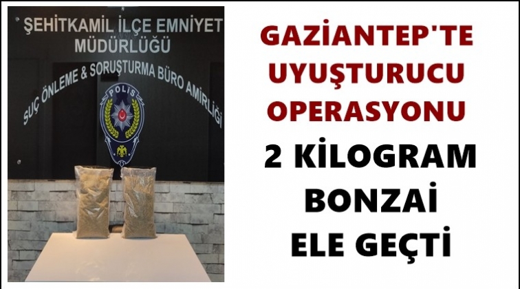 Gaziantep'te Bonzai ele geçirildi!..