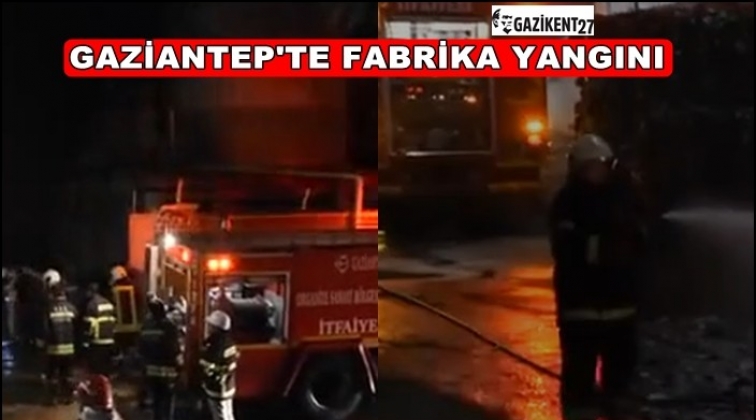 Gaziantep'te fabrika yangını: 3 işçi yaralandı