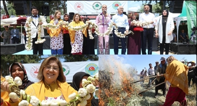 Gaziantep'te Firik ve Sarımsak Festivali...