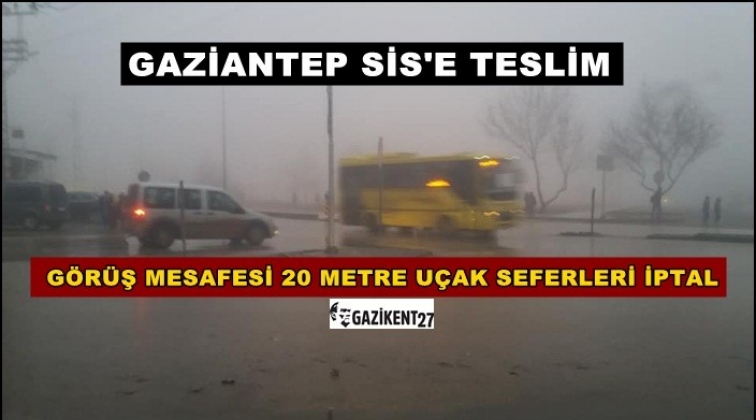 Gaziantep'te g&ouml;r&uuml;ş mesafesi 20 metre, seferler iptal